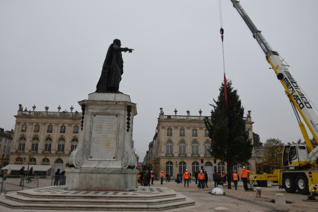 Le grand grand sapin de Noël est arrivé jeudi 7 novembre sur la place Stanislas