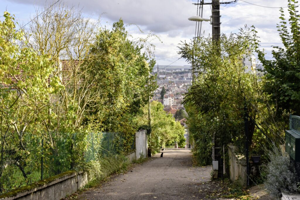 Le sentier de la cure d'air, un des points d'étape de notre pérégrination.
