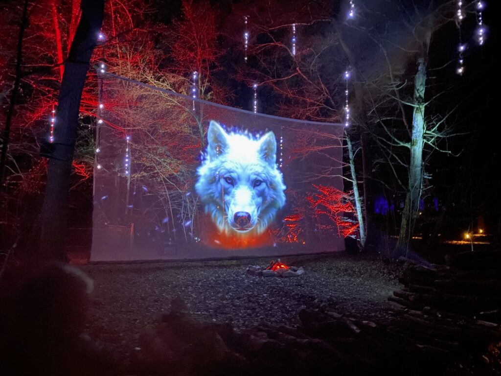 Fêtes de fin d'année : Sainte-Croix éclaire son hiver